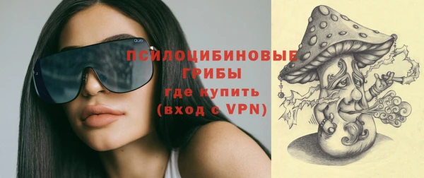 марки nbome Каменка